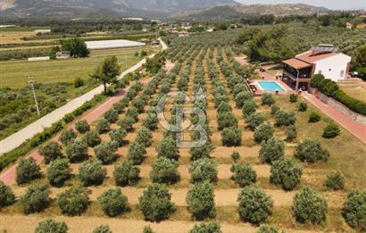 MUĞLA SEYDİKEMER EŞEN DE 37.968 m²