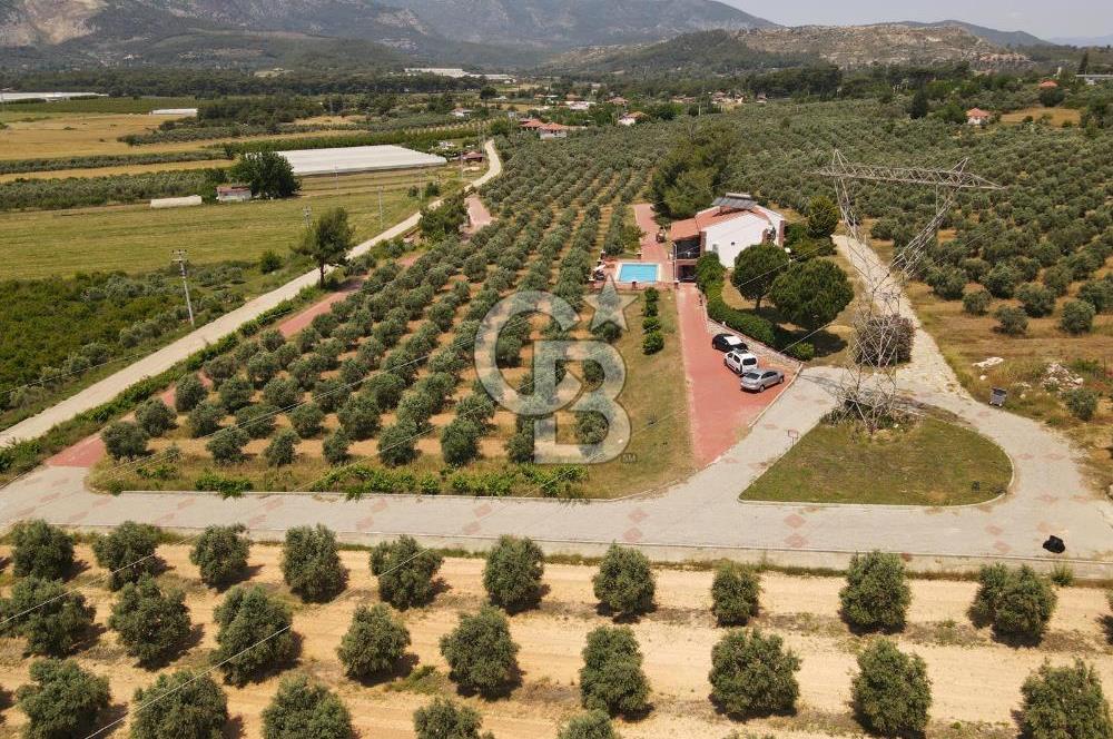 MUĞLA SEYDİKEMER EŞEN DE 37.968 m²