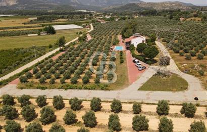 MUĞLA SEYDİKEMER EŞEN DE 37.968 m²