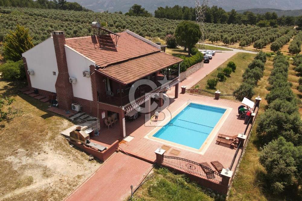 MUĞLA SEYDİKEMER EŞEN DE 37.968 m²