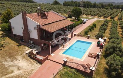 MUĞLA SEYDİKEMER EŞEN DE 37.968 m²