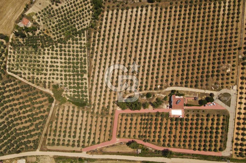 MUĞLA SEYDİKEMER EŞEN DE 37.968 m²