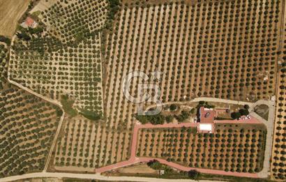 MUĞLA SEYDİKEMER EŞEN DE 37.968 m²