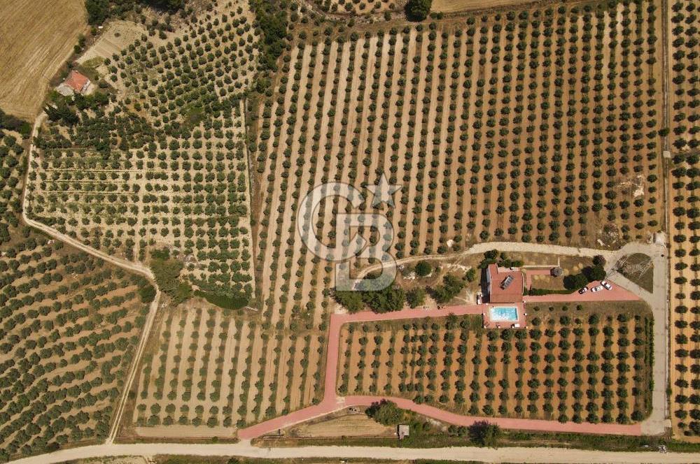 MUĞLA SEYDİKEMER EŞEN DE 37.968 m²