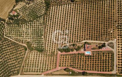 MUĞLA SEYDİKEMER EŞEN DE 37.968 m²