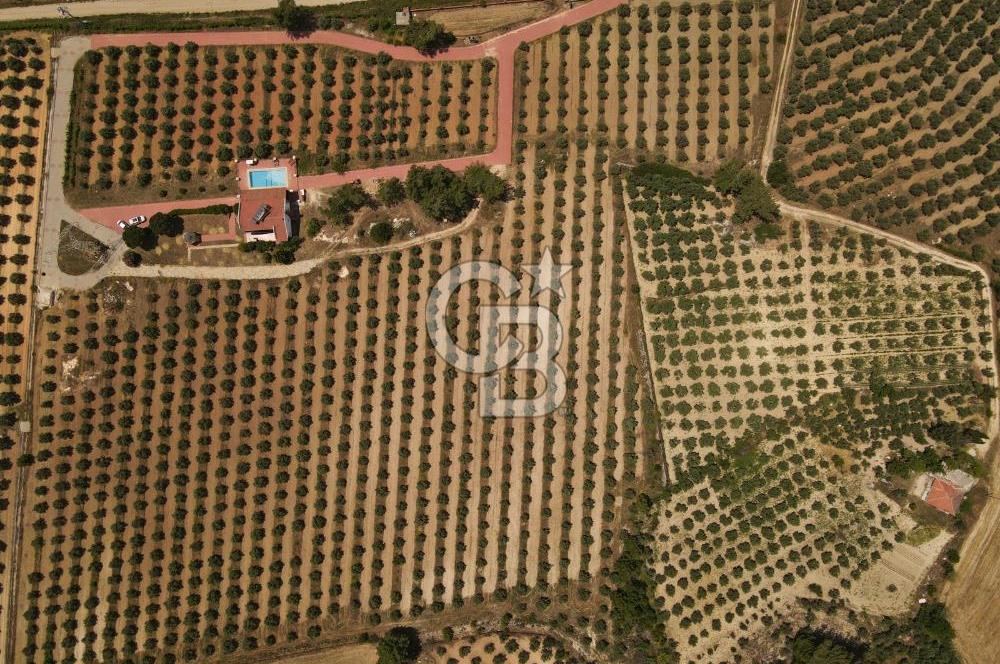 MUĞLA SEYDİKEMER EŞEN DE 37.968 m²