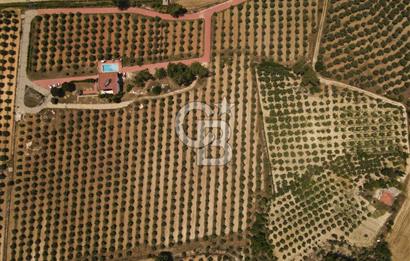 MUĞLA SEYDİKEMER EŞEN DE 37.968 m²