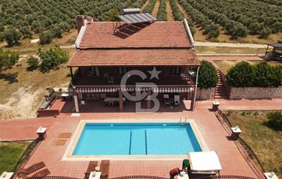 MUĞLA SEYDİKEMER EŞEN DE 37.968 m²