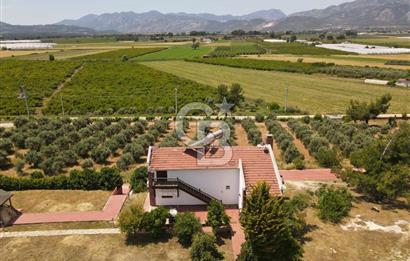 MUĞLA SEYDİKEMER EŞEN DE 37.968 m²