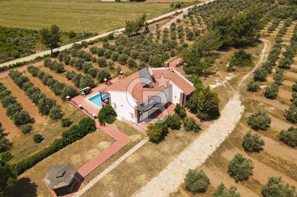 MUĞLA SEYDİKEMER EŞEN DE 37.968 m²