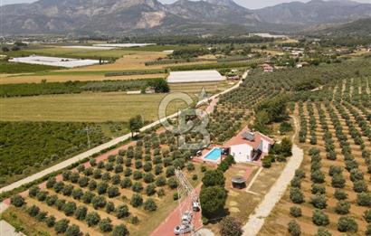 MUĞLA SEYDİKEMER EŞEN DE 37.968 m²