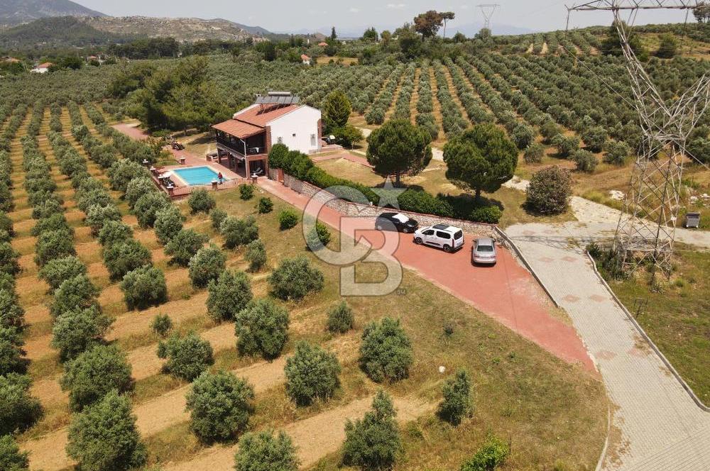 MUĞLA SEYDİKEMER EŞEN DE 37.968 m²
