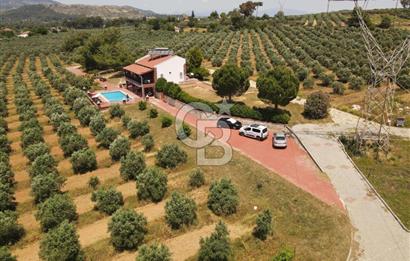 MUĞLA SEYDİKEMER EŞEN DE 37.968 m²