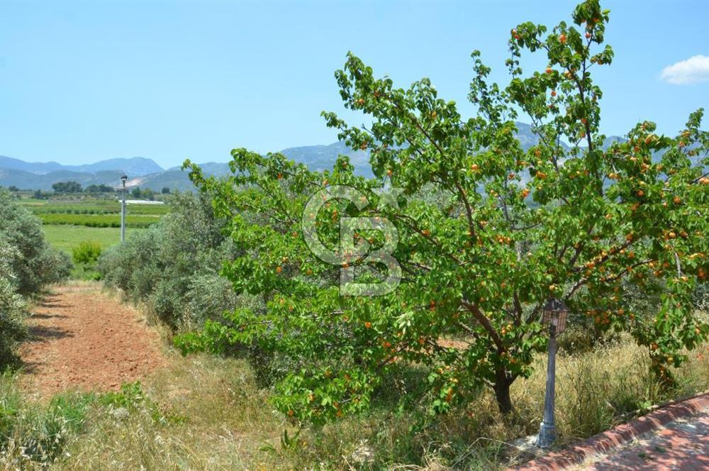 MUĞLA SEYDİKEMER EŞEN DE 37.968 m²