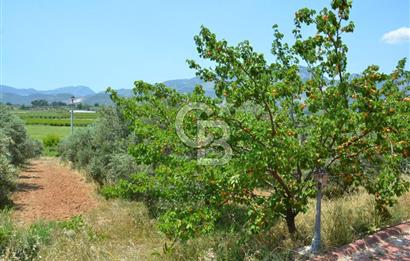 MUĞLA SEYDİKEMER EŞEN DE 37.968 m²