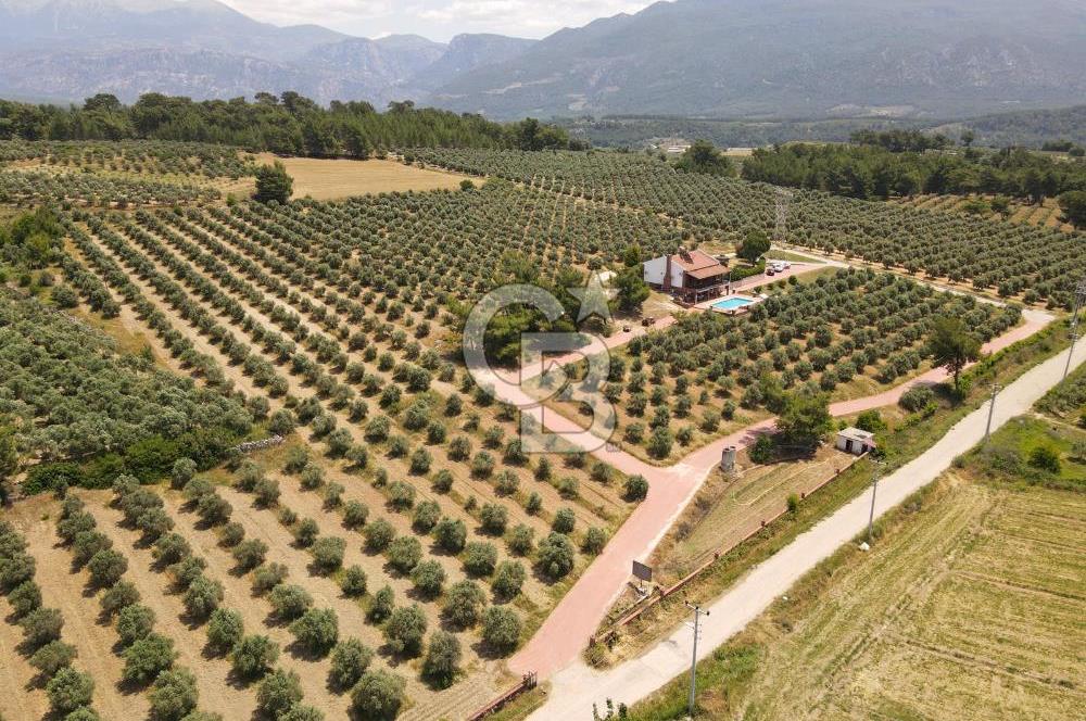 MUĞLA SEYDİKEMER EŞEN DE 37.968 m²