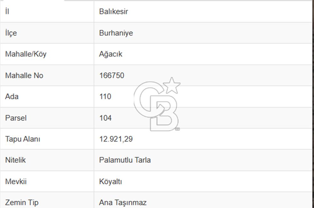BALIKESİR- BURHANİYE AĞACIK KÖYALTI MEVKİİNDE SATILIK PALAMUTLU TARLA