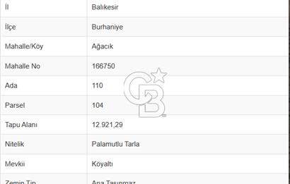 BALIKESİR- BURHANİYE AĞACIK KÖYALTI MEVKİİNDE SATILIK PALAMUTLU TARLA