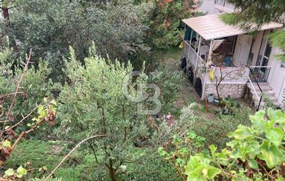 C.B SMYRNA DAN ÇEŞME MUSALLA DA 3+1 SATILIK DAİRE