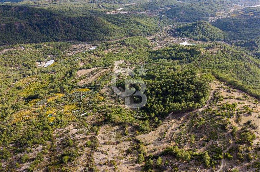 CB ARDENDEN ANTALYA KAŞ ORTABAĞDA 8306 M2 SATILIK TARLA