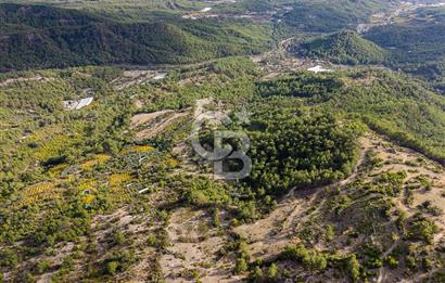 CB ARDENDEN ANTALYA KAŞ ORTABAĞDA 8306 M2 SATILIK TARLA