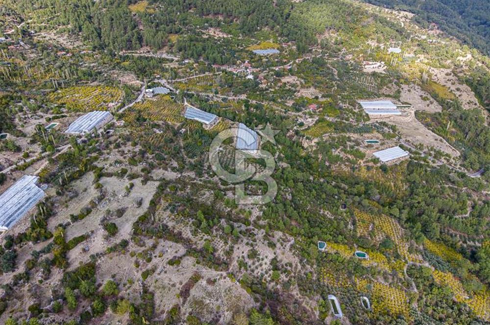 CB ARDENDEN ANTALYA KAŞ ORTABAĞDA 8306 M2 SATILIK TARLA