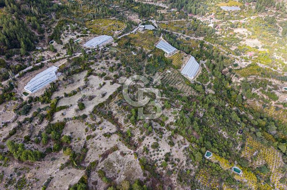CB ARDENDEN ANTALYA KAŞ ORTABAĞDA 8306 M2 SATILIK TARLA