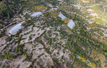 CB ARDENDEN ANTALYA KAŞ ORTABAĞDA 8306 M2 SATILIK TARLA
