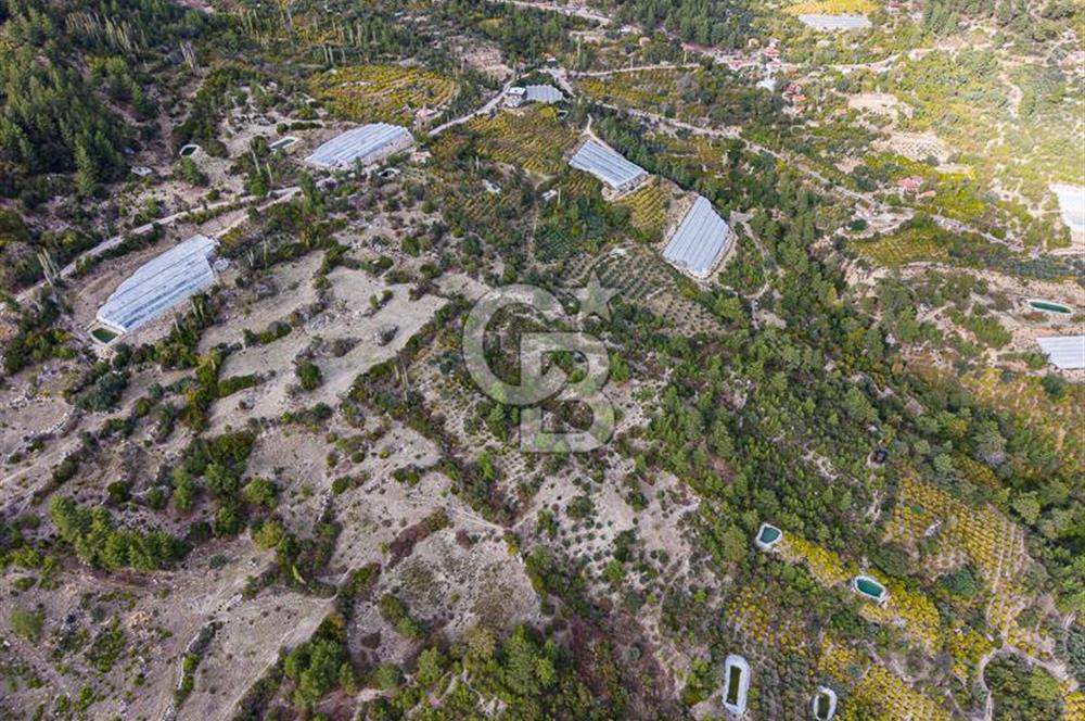 CB ARDENDEN ANTALYA KAŞ ORTABAĞDA 8306 M2 SATILIK TARLA