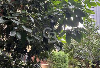 VALİKONAĞIN DA 4+1 SATILIK DAİRE
