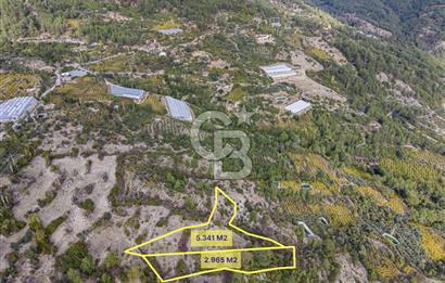 CB ARDENDEN ANTALYA KAŞ ORTABAĞDA 8306 M2 SATILIK TARLA