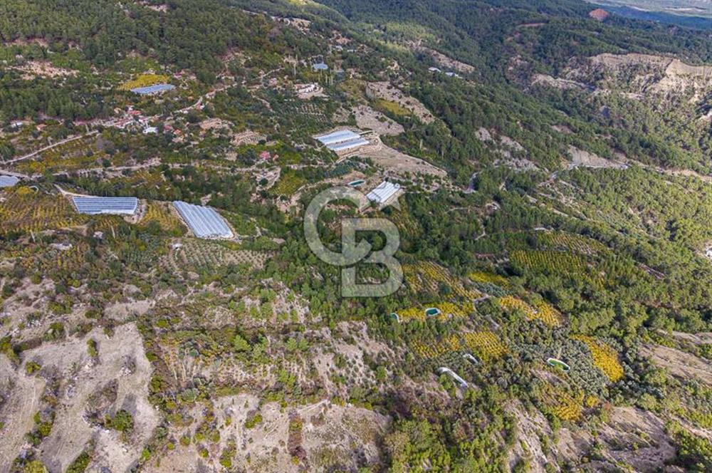 CB ARDENDEN ANTALYA KAŞ ORTABAĞDA 8306 M2 SATILIK TARLA