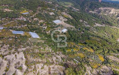 CB ARDENDEN ANTALYA KAŞ ORTABAĞDA 8306 M2 SATILIK TARLA
