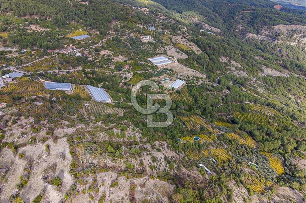 CB ARDENDEN ANTALYA KAŞ ORTABAĞDA 8306 M2 SATILIK TARLA