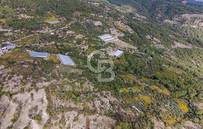CB ARDENDEN ANTALYA KAŞ ORTABAĞDA 8306 M2 SATILIK TARLA
