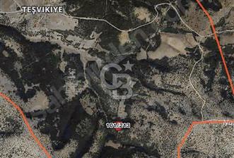 Kütahya merkez tarla
