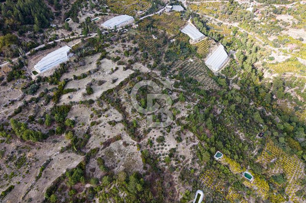 CB ARDENDEN ANTALYA KAŞ ORTABAĞDA 8306 M2 SATILIK TARLA