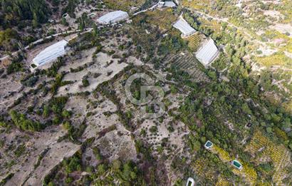 CB ARDENDEN ANTALYA KAŞ ORTABAĞDA 8306 M2 SATILIK TARLA