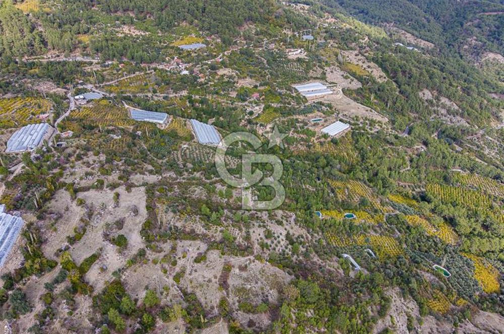 CB ARDENDEN ANTALYA KAŞ ORTABAĞDA 8306 M2 SATILIK TARLA