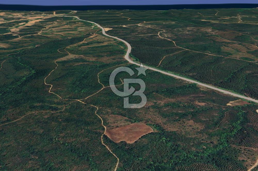  ÇANAKKALE LAPSEKİ DİŞBUDAK’TA 6626 m2 SATILIK TARLA