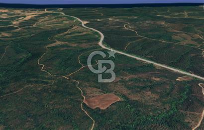  ÇANAKKALE LAPSEKİ DİŞBUDAK’TA 6626 m2 SATILIK TARLA