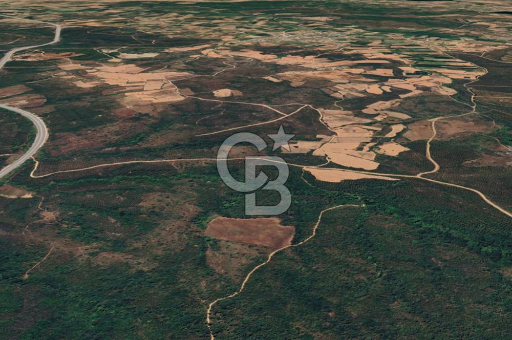  ÇANAKKALE LAPSEKİ DİŞBUDAK’TA 6626 m2 SATILIK TARLA