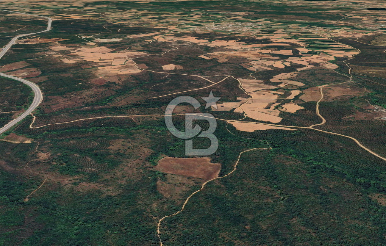  ÇANAKKALE LAPSEKİ DİŞBUDAK’TA 6626 m2 SATILIK TARLA