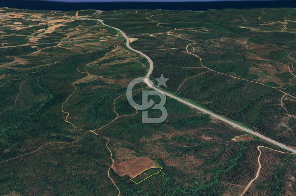  ÇANAKKALE LAPSEKİ DİŞBUDAK’TA 6626 m2 SATILIK TARLA