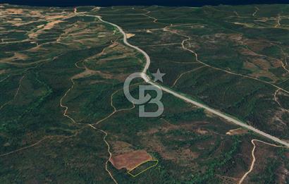 ÇANAKKALE LAPSEKİ DİŞBUDAK’TA 6626 m2 SATILIK TARLA