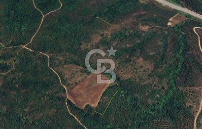  ÇANAKKALE LAPSEKİ DİŞBUDAK’TA 6626 m2 SATILIK TARLA