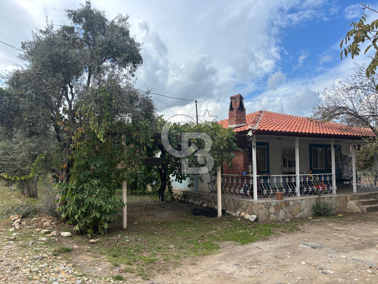 Muğla Yatağan Yeniköy Mahallesinde Zeytin Ağaçlarıyla Çevrili, 2+1 Evi Bulunan 11.496 M² Tarla