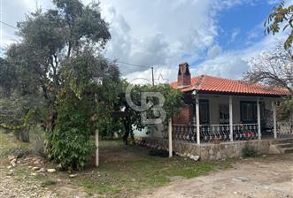 Muğla Yatağan Yeniköy Mahallesinde Zeytin Ağaçlarıyla Çevrili, 2+1 Evi Bulunan 11.496 M² Tarla