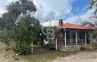 Muğla Yatağan Yeniköy Mahallesinde Zeytin Ağaçlarıyla Çevrili, 2+1 Evi Bulunan 11.496 M² Tarla
