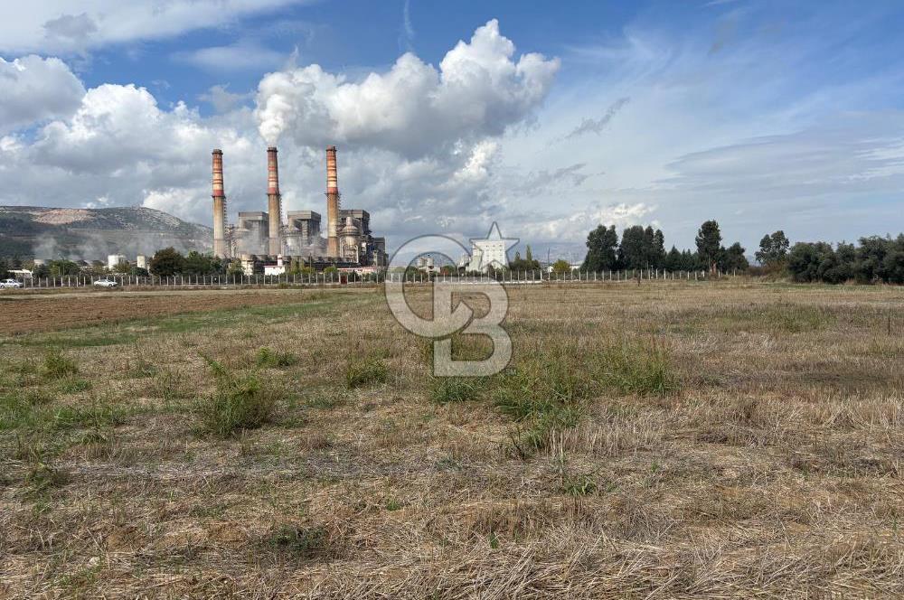 Muğla Yatağan Yeniköy Mahallesinde Zeytin Ağaçlarıyla Çevrili, 2+1 Evi Bulunan 11.496 M² Tarla